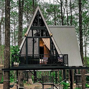 Deluxe Family Tree House