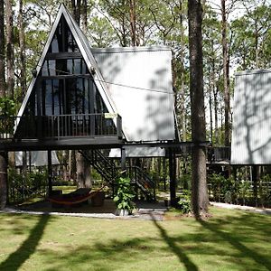Deluxe Double Tree House